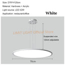 Axyaa Disc LED Pendant Lights Modern Stylish for Restaurant Bar Cafe Living Room