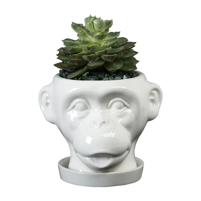 Axya Ceramic Flowerpot for Succulents & Green Plants – Hericium Shape Vase & Desktop Decoration