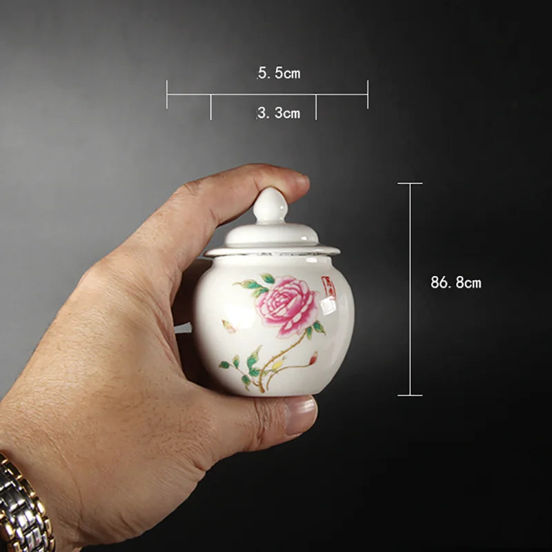 Axya Ceramic Tea Cans: Elegant Kitchen & Desktop Storage Jars for Condiments, Candy, Fruit.