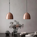 Axyaa Nordic Suspence LED Pendant Light for Modern Home Decor
