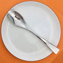 Axyaa Stainless Steel Silverware Set: 6Pcs Teaspoon Fork Spoon Dinnerware Steak Knife Fauxelope