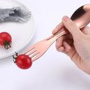 Axyaa Stainless Steel Outdoor Picnic Cutlery Set - Camping Survival Tool