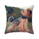 Axyaa Dog Print Polyester Cushion Cover for Sofa Living Room 45X45CM