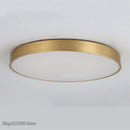 Axyaa Modern Gold Acrylic LED Ceiling Light - Ultra-thin Surface Lamp for Living Room