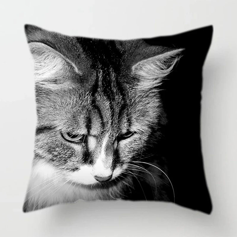 Axyaa Cat Face Print Throw Pillow Cover for Home Sofa Decor