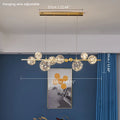 Axyaa Clear Glass Ball Circle Chandelier: Modern Gold LED Lighting for Romantic Living Room
