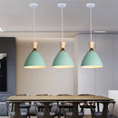 Nordic Style E27 LED Chandelier by Axyaa - Modern Pendant Light for Home Decor