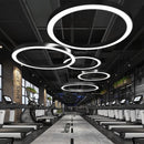 Axya Modern Black White Metal Circle Pendant Lights LED Ring Light