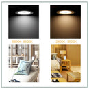 Axyaa Round LED Ceiling Light with PIR Motion Sensor for Corridor Aisle - 5W to 20W
