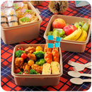 Axyaa 3-Layer Large Capacity Lunch Box for Office Worker and Picnic