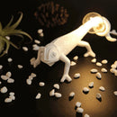 Nordic Chameleon LED Wall Lamp by Axya - Resin Animal Night Light