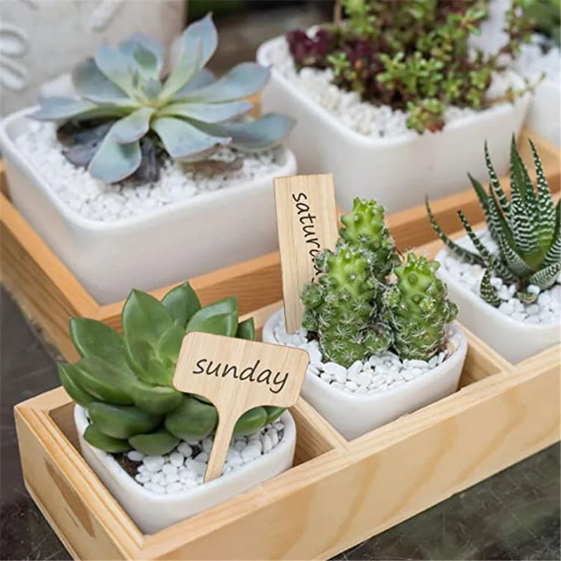 Axyaa Bamboo Plant Labels Set with Marker Pen - Eco-Friendly Wooden Garden Markers