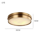 Axyaa Brass LED Modern Ceiling Light Flush Mount Home Lighting Living Room
