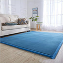 Axyaa Coral Fleece Tatami Floor Mat for Soft Bedroom Living Room Rugs