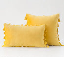 Velvet Tassel Throw Pillow Cover for Couch & Sofa - Axyaa Branded Luxe Accent Cushions