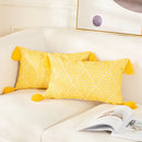 Axyaa Geometric Embroidered Cotton Pillow Covers - Set of 2