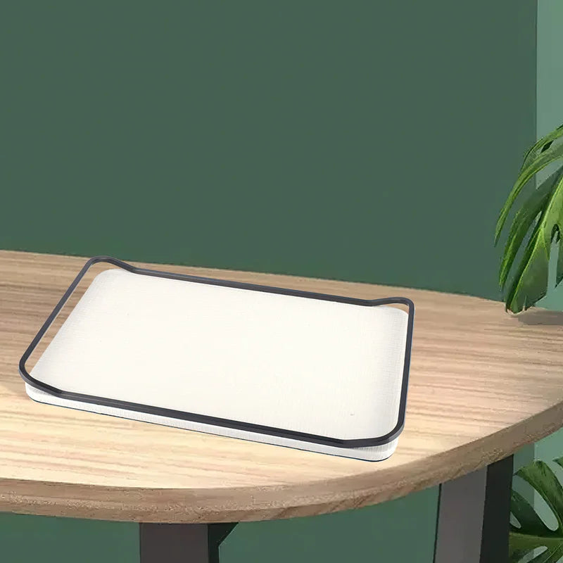 Axya Nordic Leather Tray for Home Storage and Organization