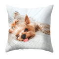 Axyaa Dog Print Polyester Cushion Cover for Sofa Living Room 45X45CM