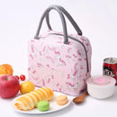 Axyaa Insulated Fashion Lunch Bag with Functional Pattern - Portable Thermal Food Box