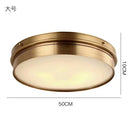 Axyaa Brass LED Modern Ceiling Light Flush Mount Home Lighting Living Room