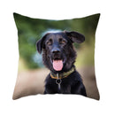 Axyaa Dog Print Polyester Cushion Cover for Sofa Living Room 45X45CM