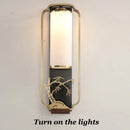 Axyaa Iron Glass Wall Lamp for Living Room Bedroom TV Background Sconce