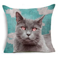 Cartoon Cat Pet Pillow Cover for Home Sofa Decor by Axyaa