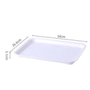 Axyaa Rectangular Nordic Plastic Tray for Tea Fruit Dessert Serving - Kitchen Dining Organizer