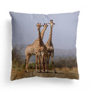 Axyaa Lion Dolphin Horse Cushion Cover 45x45cm - Home Sofa Car Pillow Cover