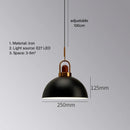 Axyaa Nordic LED Pendant Light, Modern Industrial Style Chandelier for Home Decor