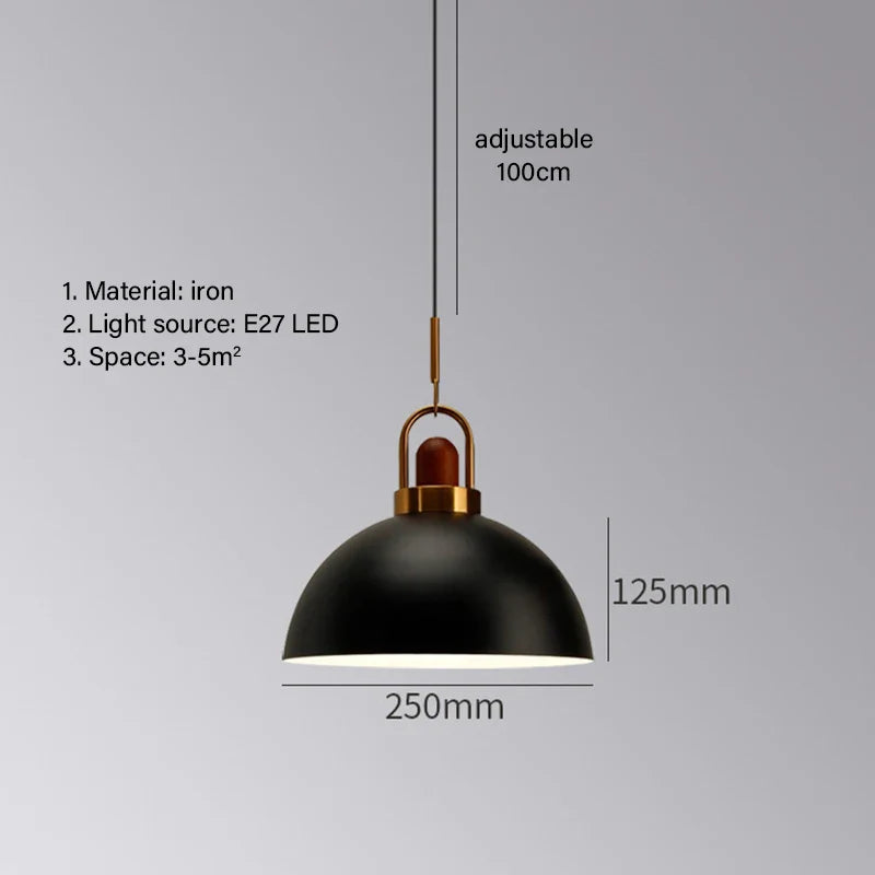 Axyaa Nordic LED Pendant Light, Modern Industrial Style Chandelier for Home Decor