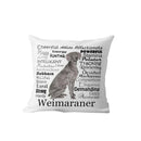 Axyaa Dachshund Dog Velvet Cushion Cover for Living Room Sofa - Home Decor Pillowcase