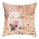 Axyaa Pig Oil Painting Cushion Cover Home Decor Sofa Chair 45X45cm