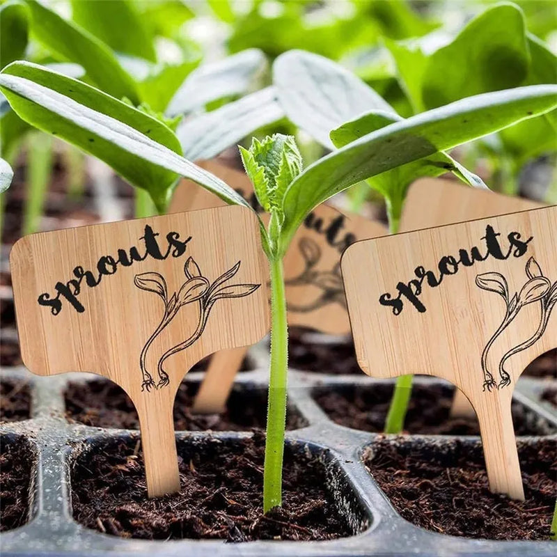 Axyaa Bamboo Plant Labels Set with Marker Pen - Eco-Friendly Wooden Garden Markers