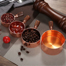 Axyaa Stainless Steel Seasoning Cup with Wooden Handle - Kitchen Sauce Dish