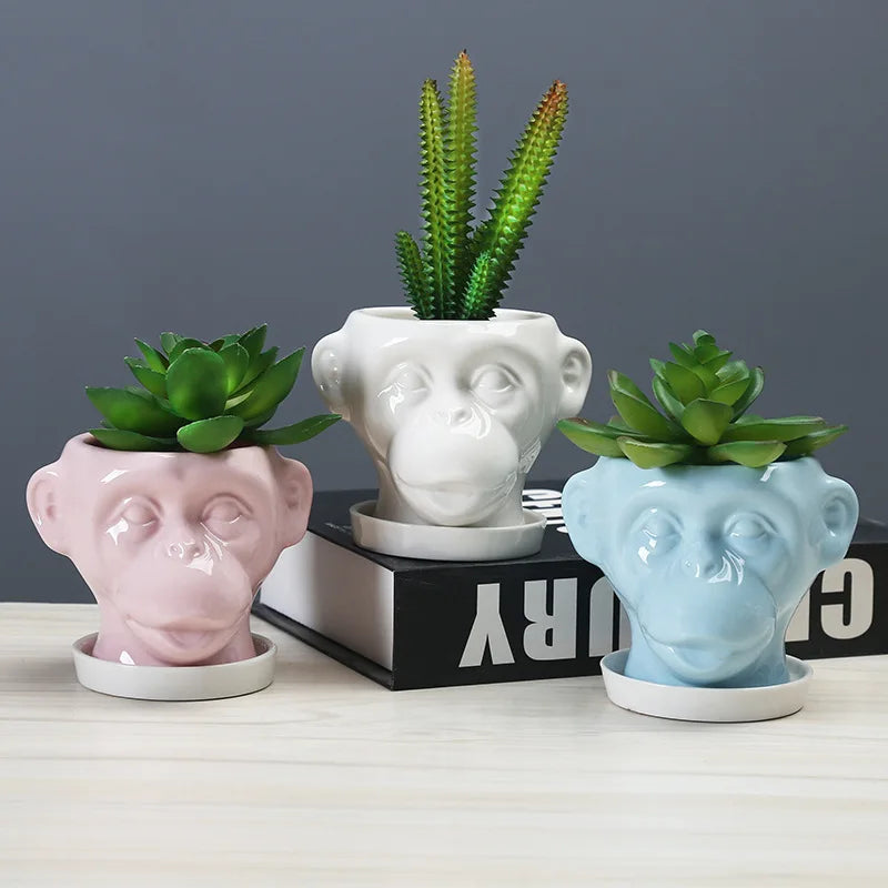 Axya Ceramic Flowerpot for Succulents & Green Plants – Hericium Shape Vase & Desktop Decoration
