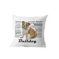 Axyaa Dachshund Dog Velvet Cushion Cover for Living Room Sofa - Home Decor Pillowcase