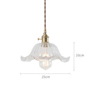 Axyaa Nordic Glass Pendant Light for Bar Cafe Bedroom Restaurant, Retro Vintage Hanging Lamp