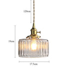 Axyaa Glass Pendant Lamps Modern Hanging Lights for Home Decor, Japanese LED Lustre Pendente