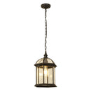Axyaa Black Rustic 10W Outdoor Hanging Lantern with Clear Beveled Glass