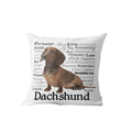 Axyaa Dachshund Dog Velvet Cushion Cover for Living Room Sofa - Home Decor Pillowcase