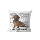 Axyaa Dachshund Dog Velvet Cushion Cover for Living Room Sofa - Home Decor Pillowcase