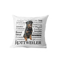 Axyaa Dachshund Dog Velvet Cushion Cover for Living Room Sofa - Home Decor Pillowcase