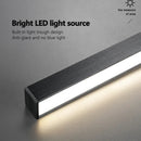 Axyaa Minimalist Ceiling Lamp
