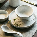 Axya™ Japanese Ceramic Western Meal Plate Set with Small Spoon and Sauce Dish