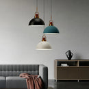 Axyaa Nordic LED Pendant Light, Modern Industrial Style Chandelier for Home Decor