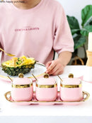 Axya Nordic Pink Golden Rim Ceramic Seasoning Set