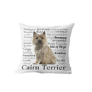 Axyaa Dachshund Dog Velvet Cushion Cover for Living Room Sofa - Home Decor Pillowcase