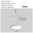 Axyaa Disc LED Pendant Lights Modern Stylish for Restaurant Bar Cafe Living Room