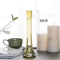Axyaa Oblique Glass Vase for Flowers - Modern Desk Home Decor